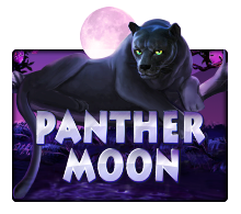 jokergaming image