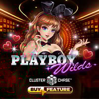 microgaming image