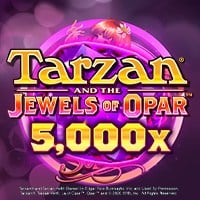 microgaming image