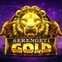 microgaming image