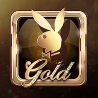 microgaming image