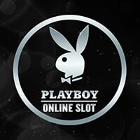 microgaming image