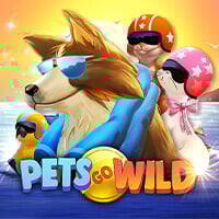 microgaming image