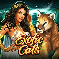 microgaming image